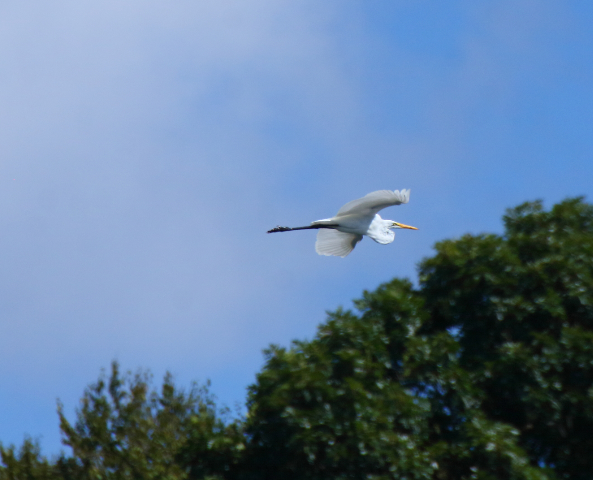 2014 09 07 HTP 85550